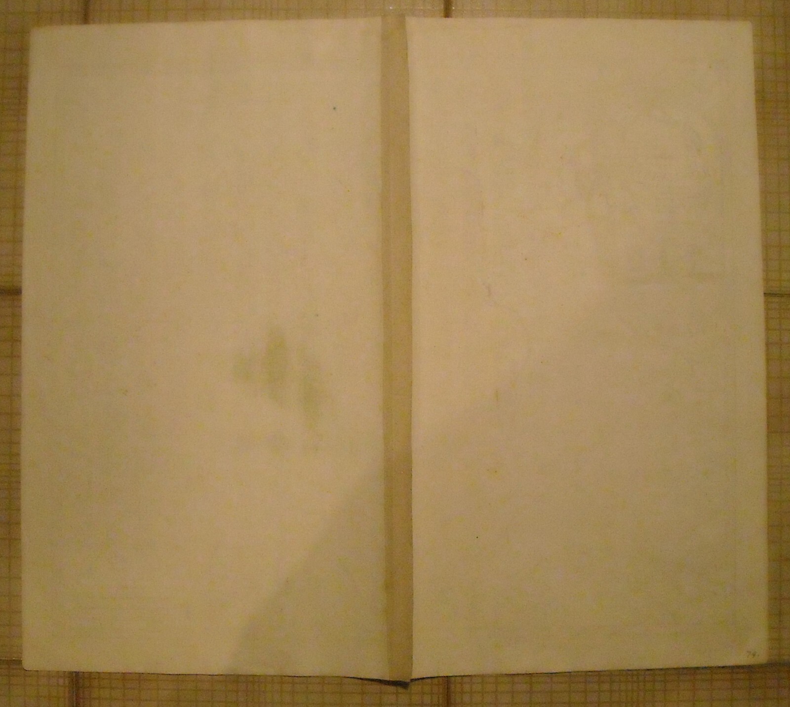 Mappa Della Transilvania Di Johann Baptist Homann, XVIII Secolo