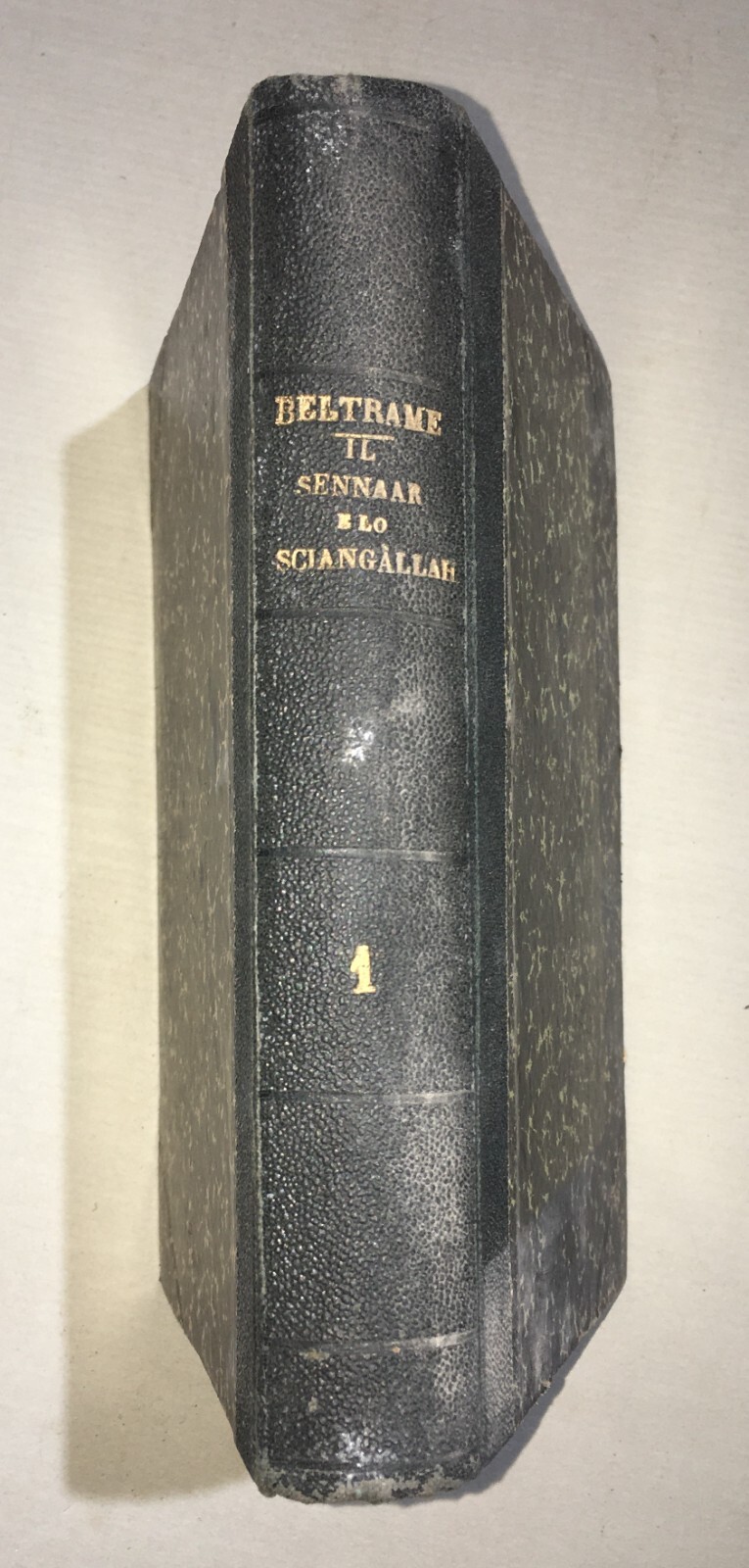 Il Sennaar E Lo Sciangallah: Memorie Di Giovanni Beltrame (1879)
