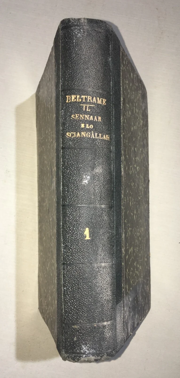 The Sennar and the Sciangallah: Memoirs of Giovanni Beltrame (1879)