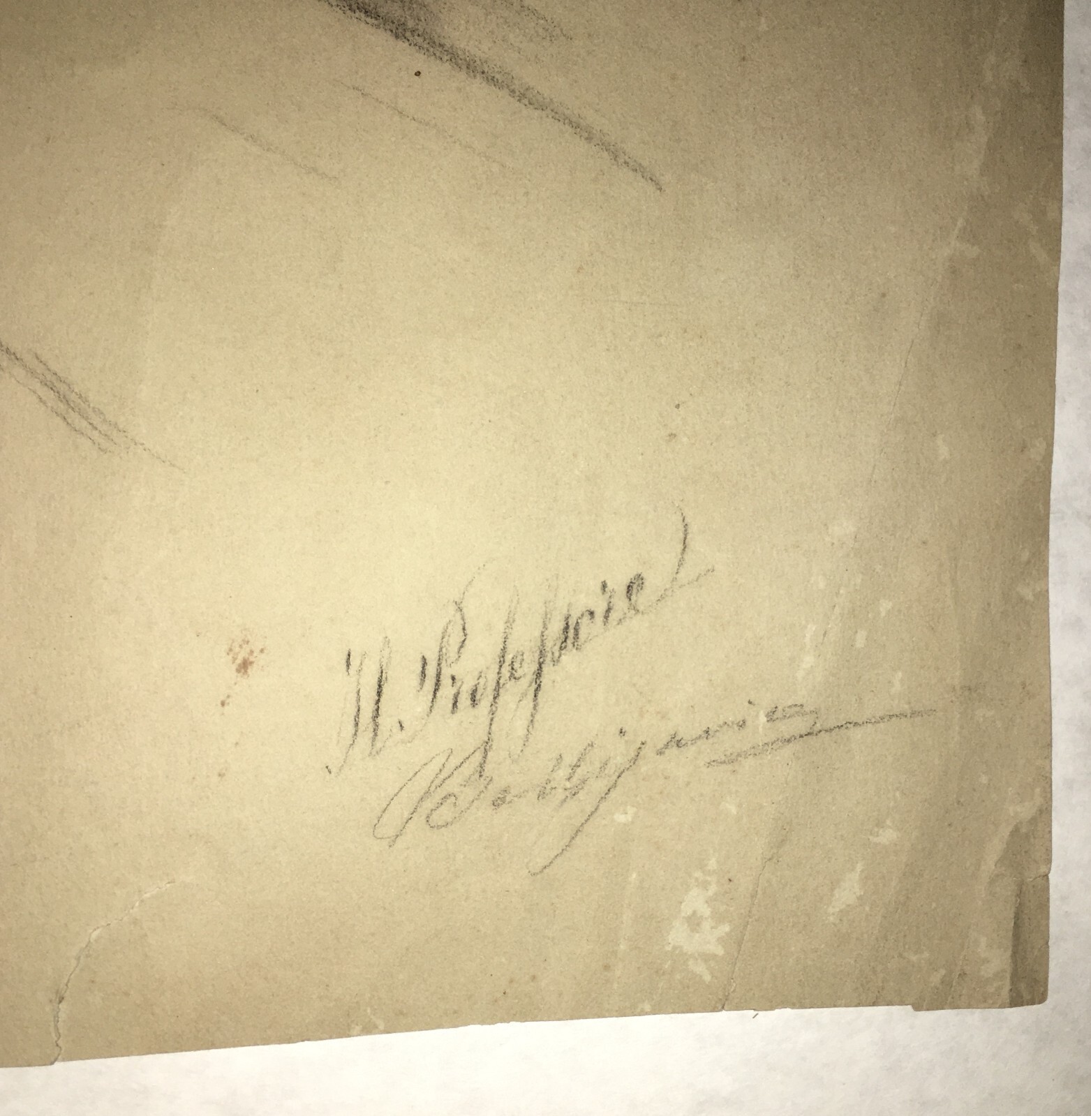 Ritratto Di Dante Alighieri   Disegno Originale Di Francesco Tito