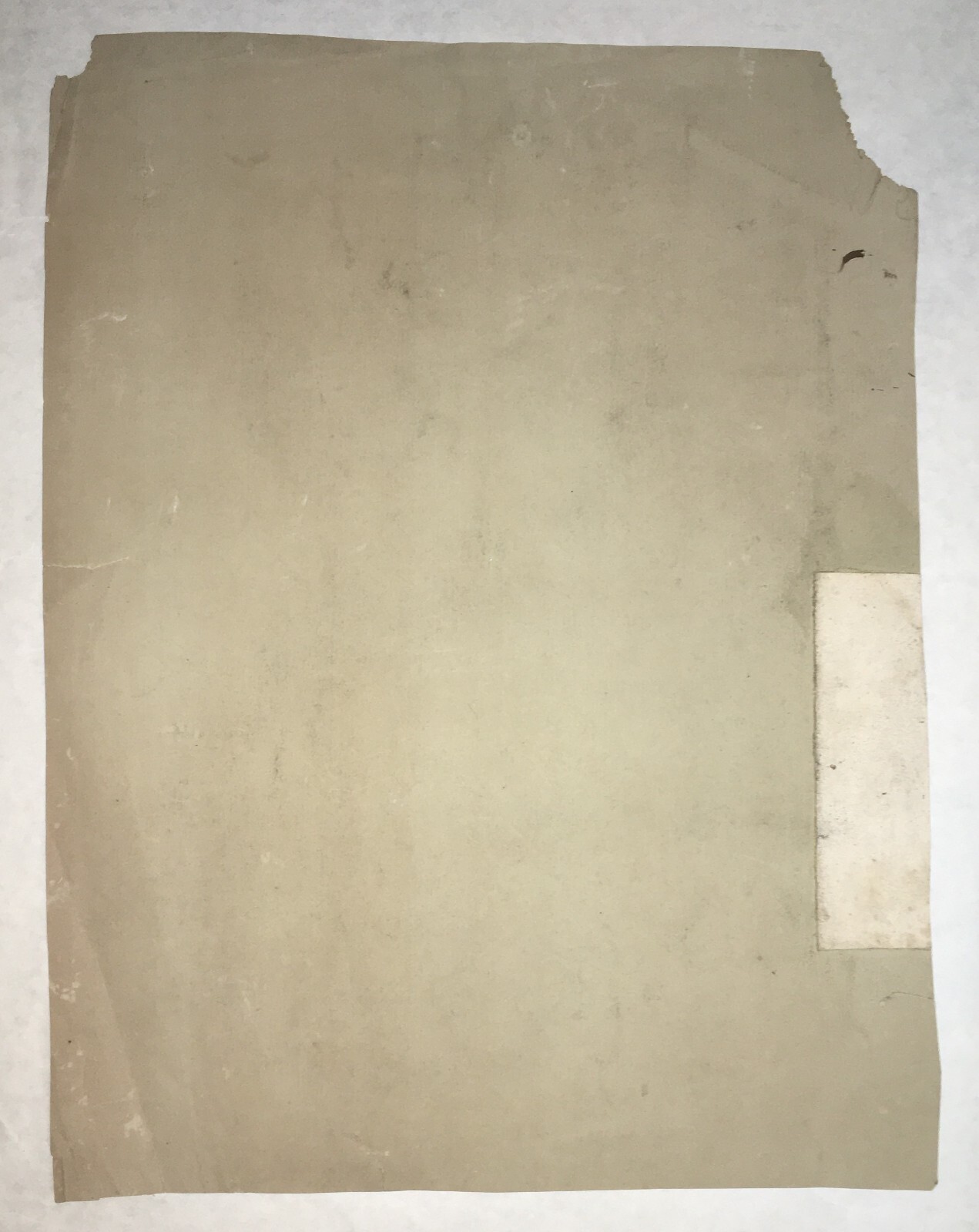 Ritratto Di Dante Alighieri   Disegno Originale Di Francesco Tito