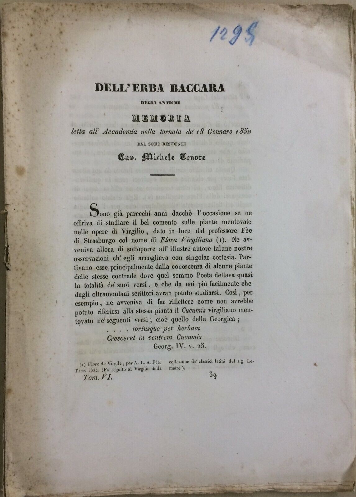 Botanica: Erba Baccara. Tenore, Gussone, Gasparrini. Flora Virgiliana, 1852
