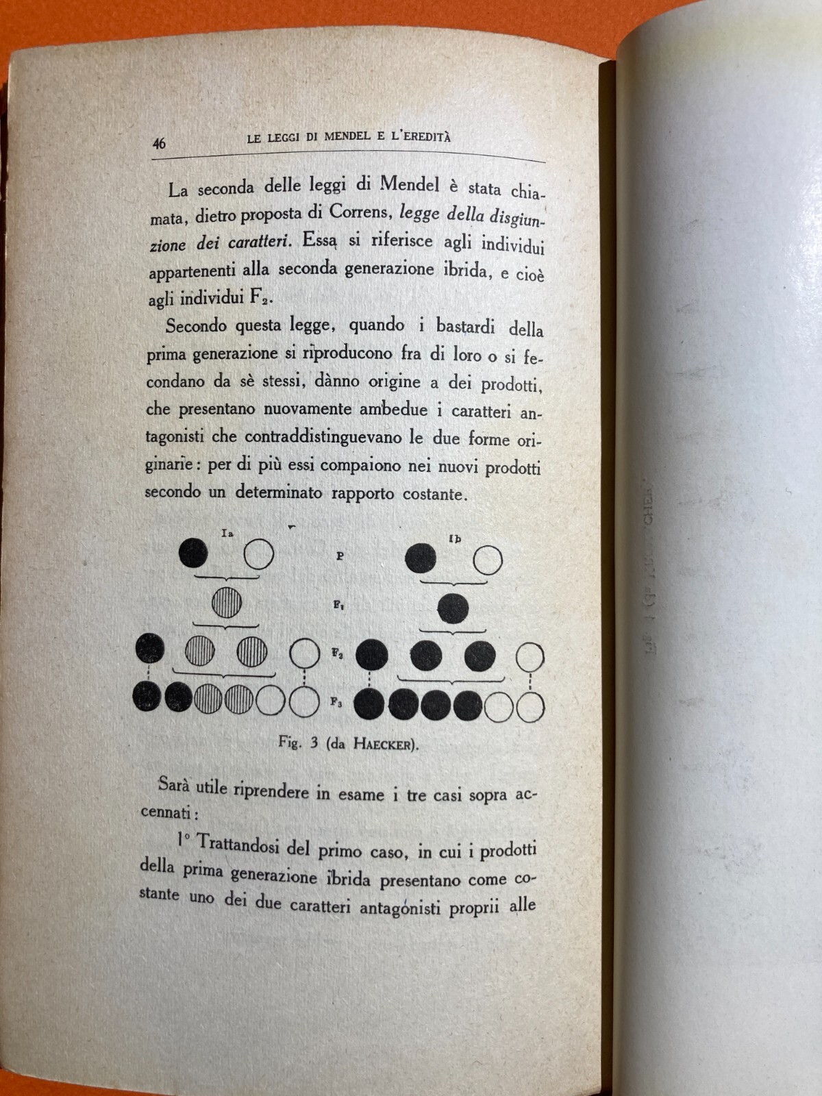 Le Leggi Di Mendel E L'Eredità. Francesco Luigi Maiocco. Bocca, 1918