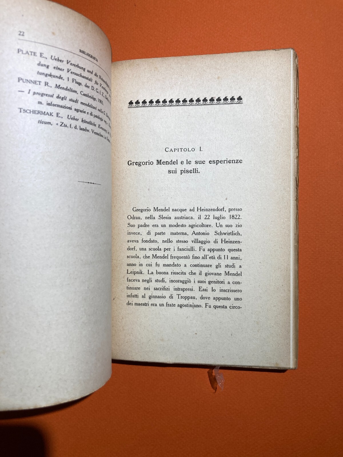 Le Leggi Di Mendel E L'Eredità. Francesco Luigi Maiocco. Bocca, 1918