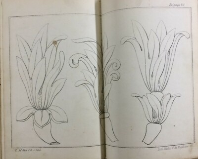 Arte E Disegno: Tavole Litografiche Di Teodoro Da Motta, Lisbona, 1868