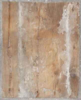 Antichi Pannelli In Legno. Utili Accessori Per Porte O Arredi Vari. Da Restaurare