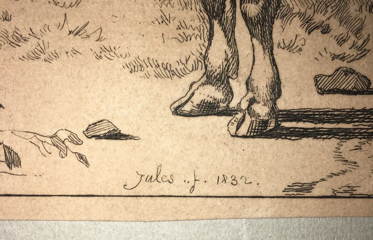 Antique Engraving Depicting a Bovine, Jules, 1832