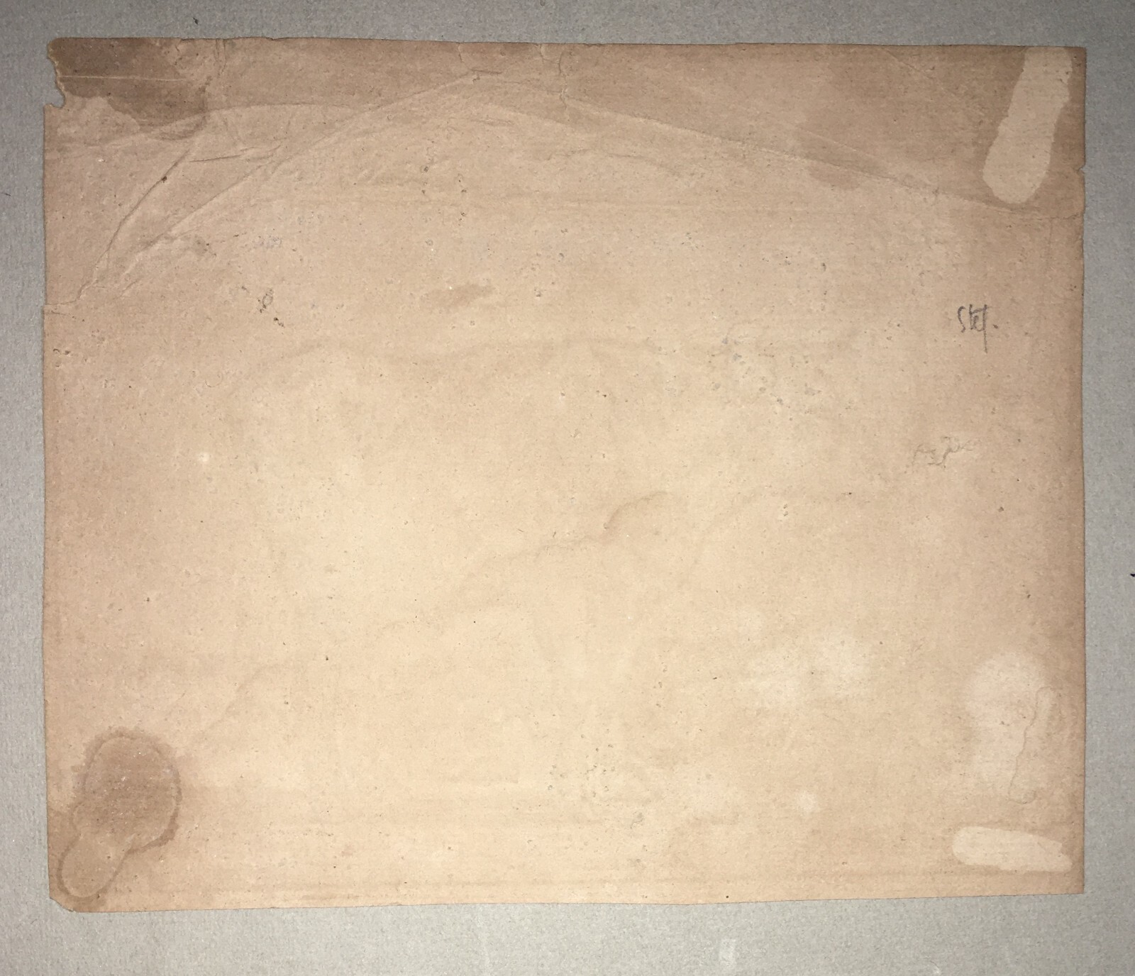 Incisione Antica Raffigurante Un Bovino, Jules, 1832