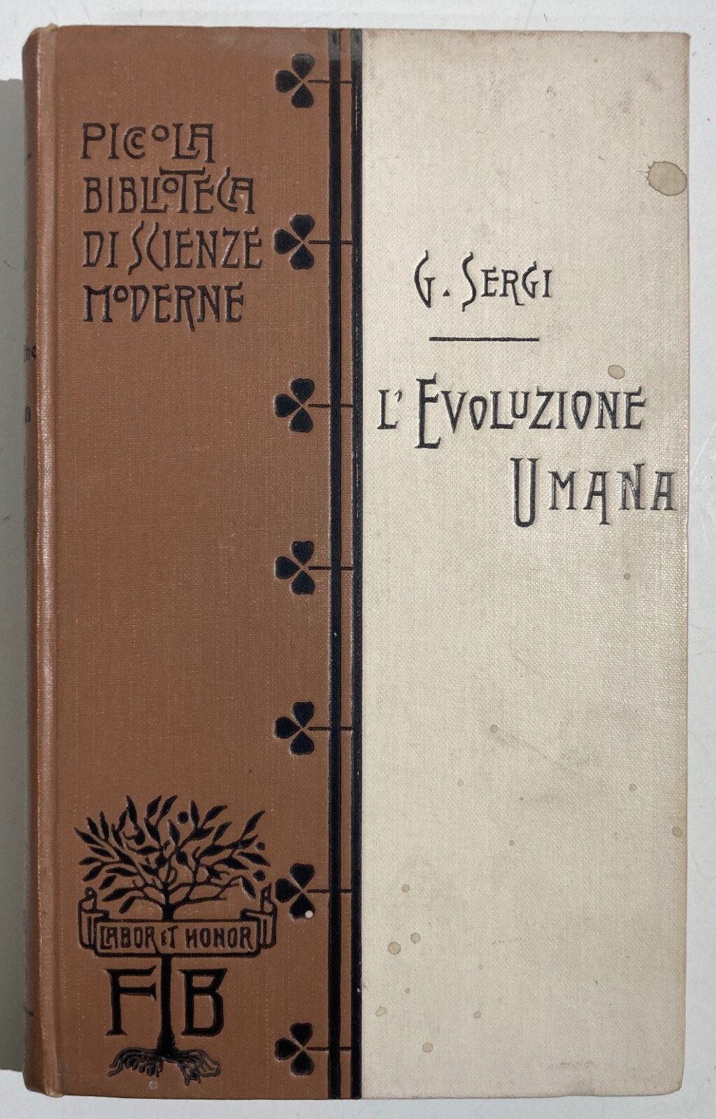 Evoluzione Umana, Famiglia, Arte E Scienza, Religioni, L'Abitato, La Donna   Sergi   1904