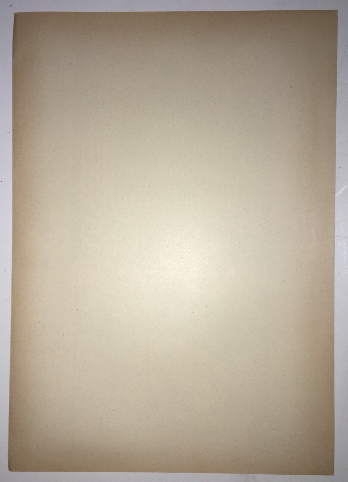 Arte Artigianato Del Ferro. Cancelli Decorativi Con Pavoni. Mazzucotelli