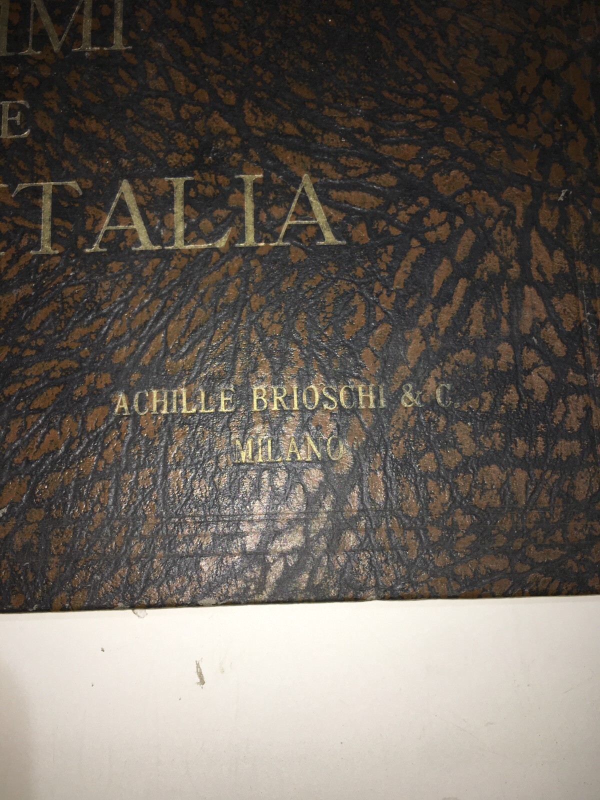 Brioschi Milano   Album Per Raccolta Figurine Araldiche   Voghera   Anni '20/'30