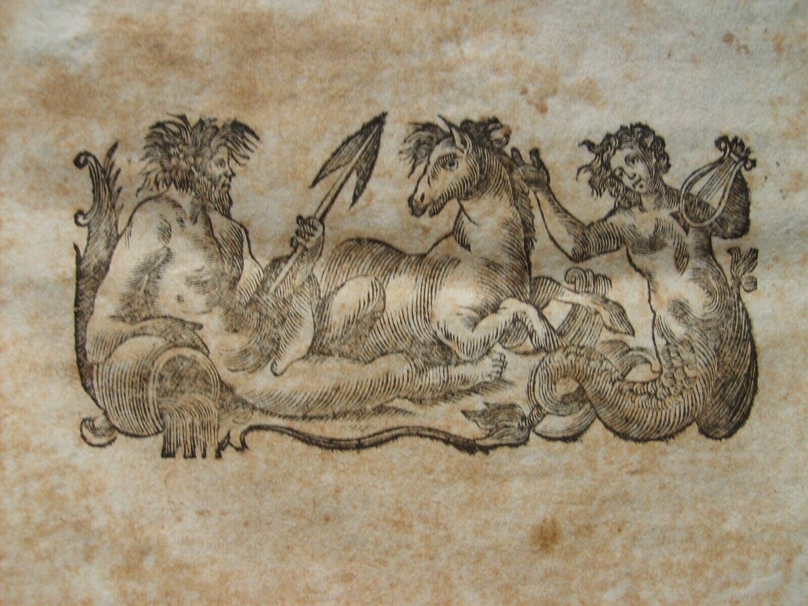 Napoli, Aversa: Antica Allegazione Giuridica Di Storia Locale Di Carlo Franchi (1754)
