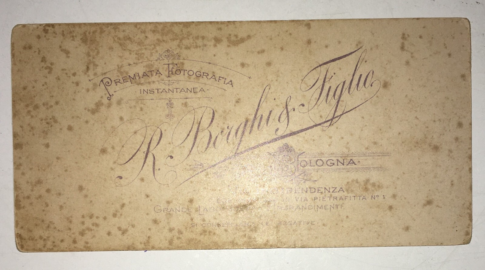 Bologna: Ritratto Fotografico Di Gentiluomo, Studio Borghi, Fine '800