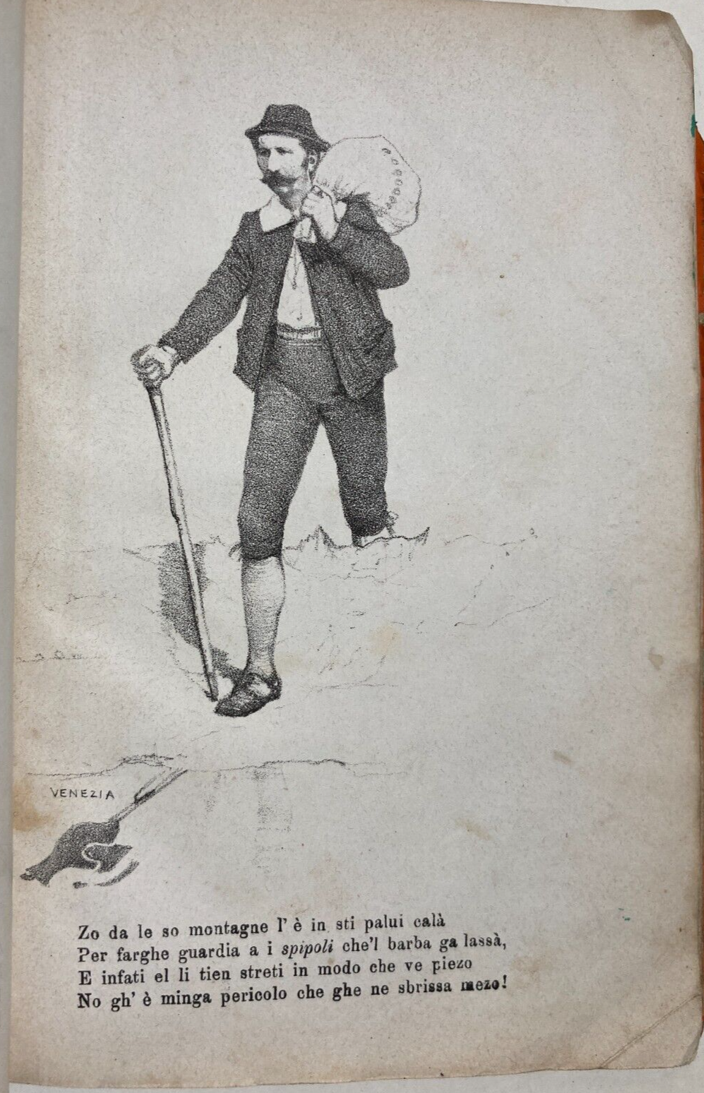 Caricatura E Satira Veneziana: Antica Litografia Originale Del XIX Secolo