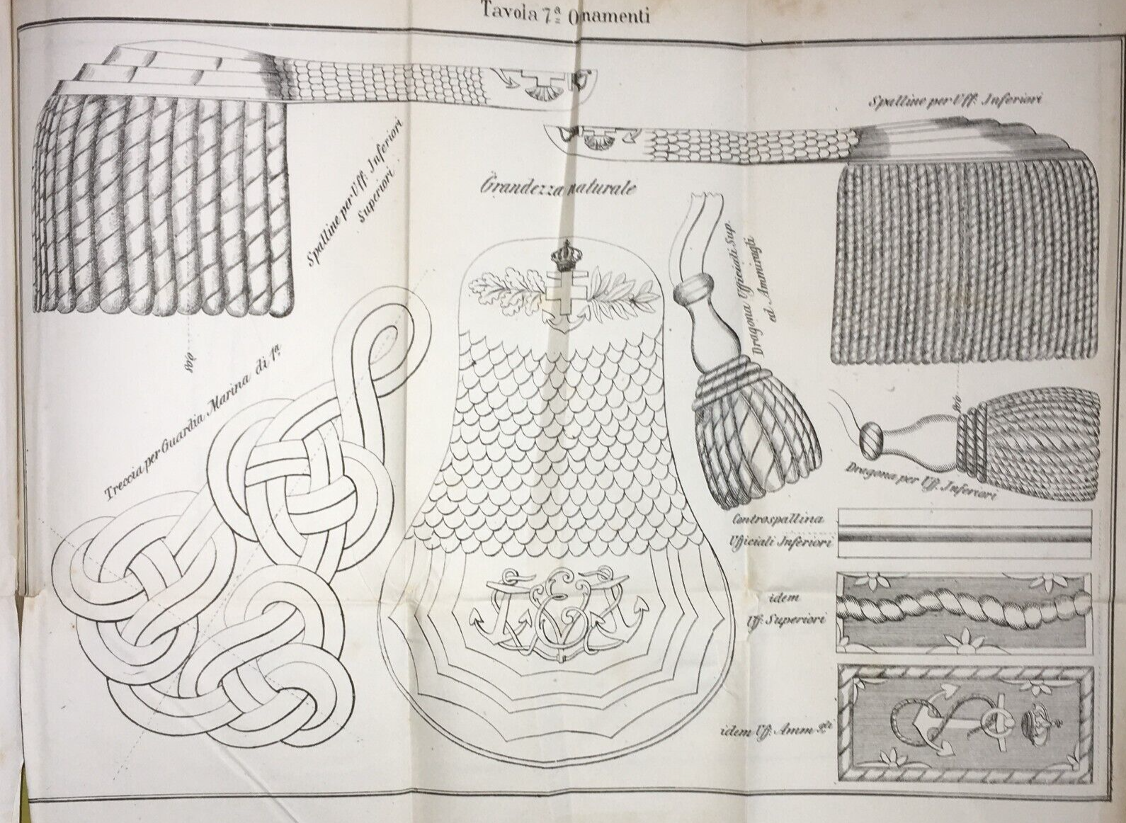 Mare   Marineria   Militaria   Uniformi   Ornamenti   Spalline   Dragona   Treccia   Antica Litografia