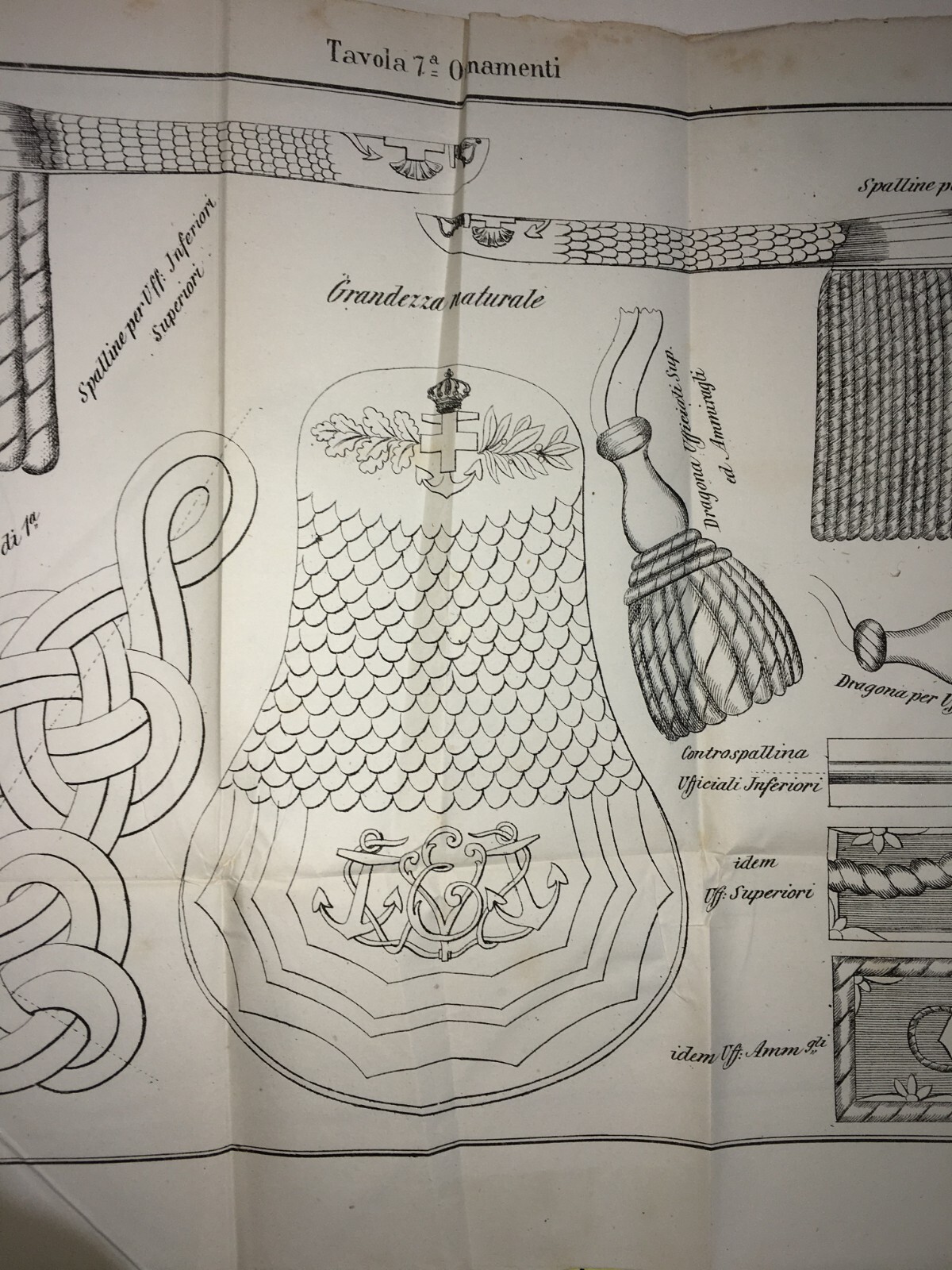 Mare   Marineria   Militaria   Uniformi   Ornamenti   Spalline   Dragona   Treccia   Antica Litografia