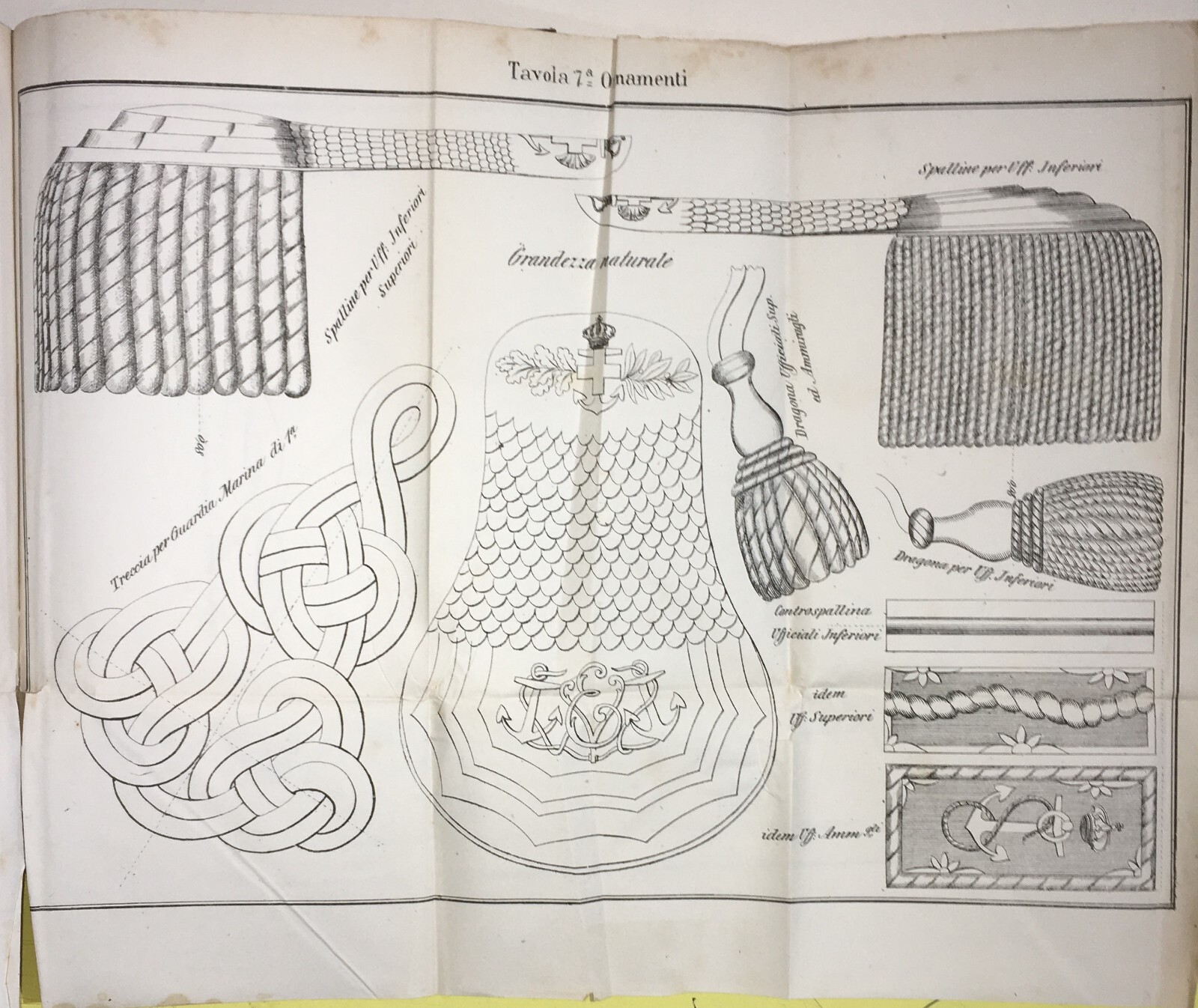Mare   Marineria   Militaria   Uniformi   Ornamenti   Spalline   Dragona   Treccia   Antica Litografia