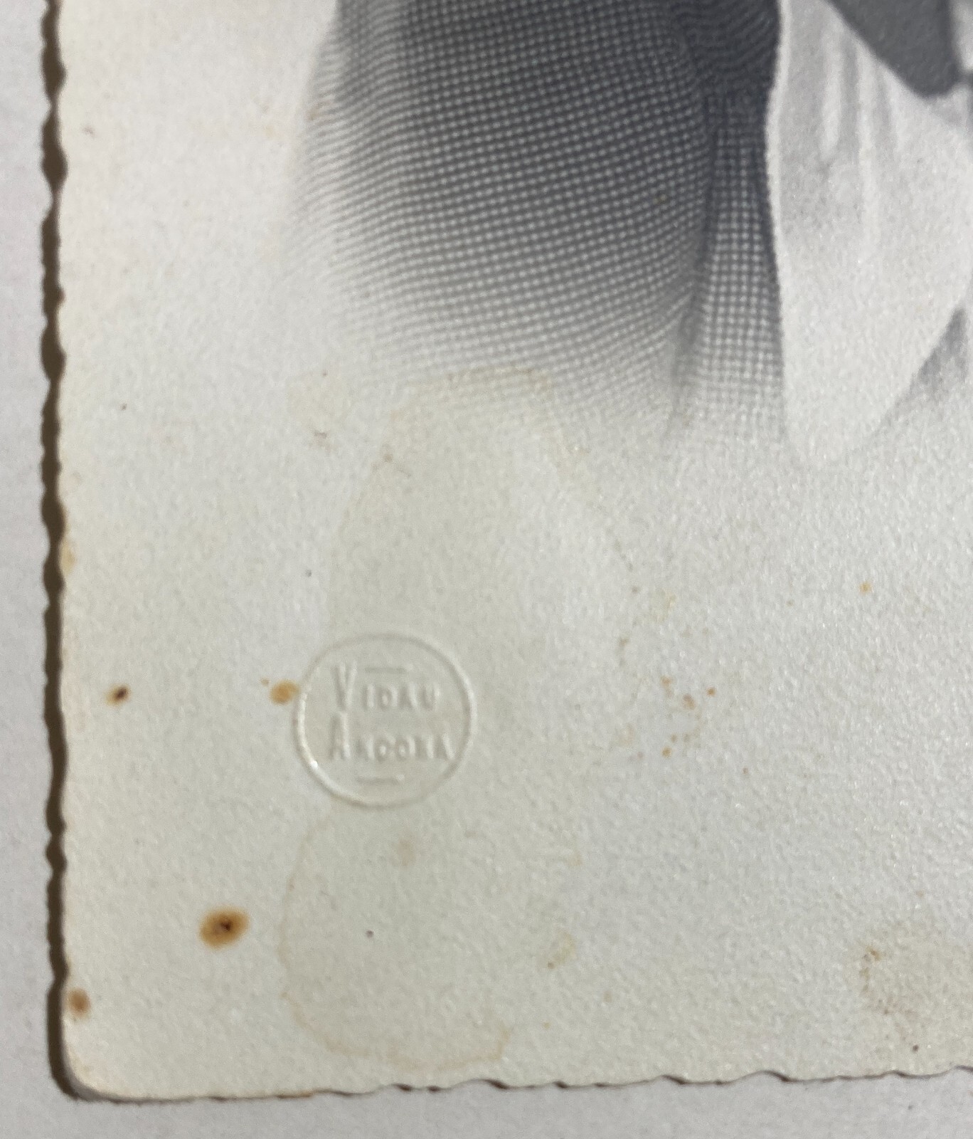 Fotografia Da Collezione, Ritratto Di Giovane Donna, Marche, Ancona, Fotografo Vidau