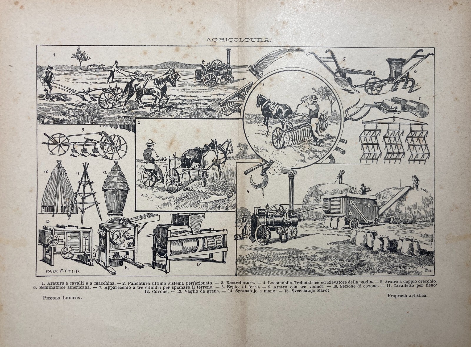 Agraria, Agricoltura, Aratura E Trebbiatura. Antica Stampa Di Rodolfo Paoletti
