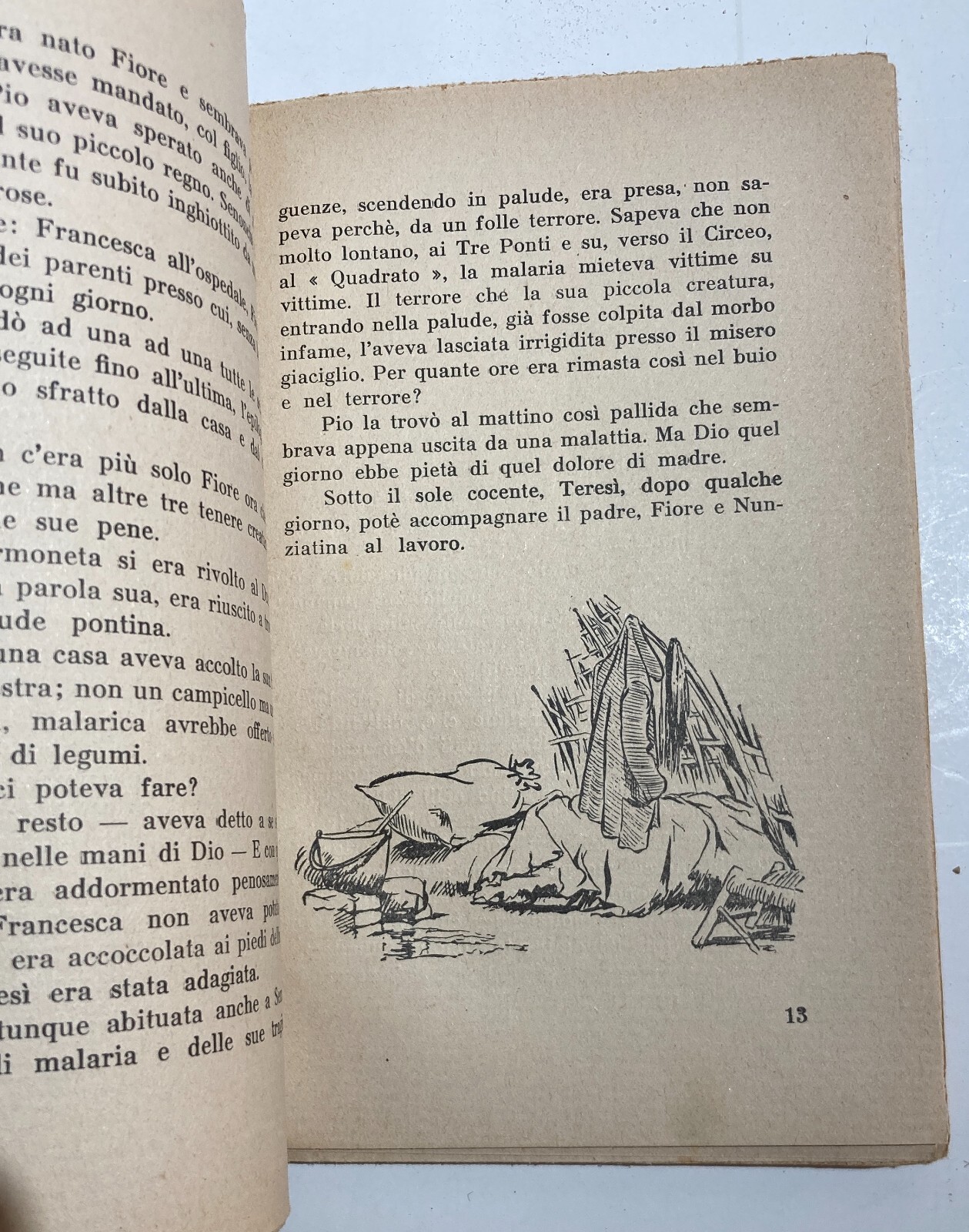 Paludari: Paludi, Sezze, Torrimpietra E La Bonifica Dell'Agro Pontino