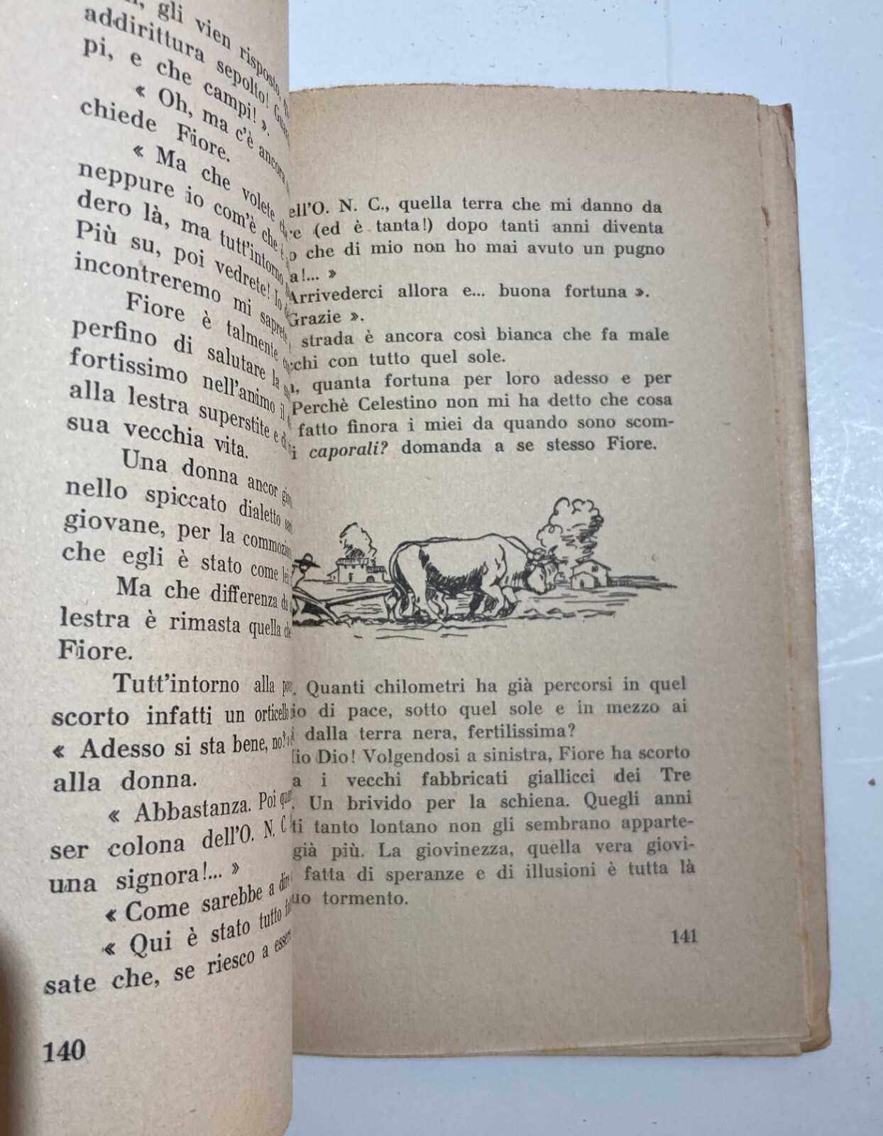 Paludari: Paludi, Sezze, Torrimpietra E La Bonifica Dell'Agro Pontino
