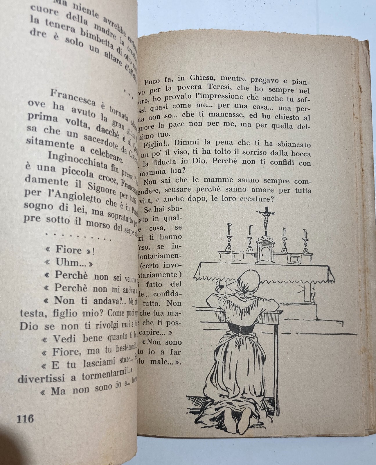 Paludari: Paludi, Sezze, Torrimpietra E La Bonifica Dell'Agro Pontino