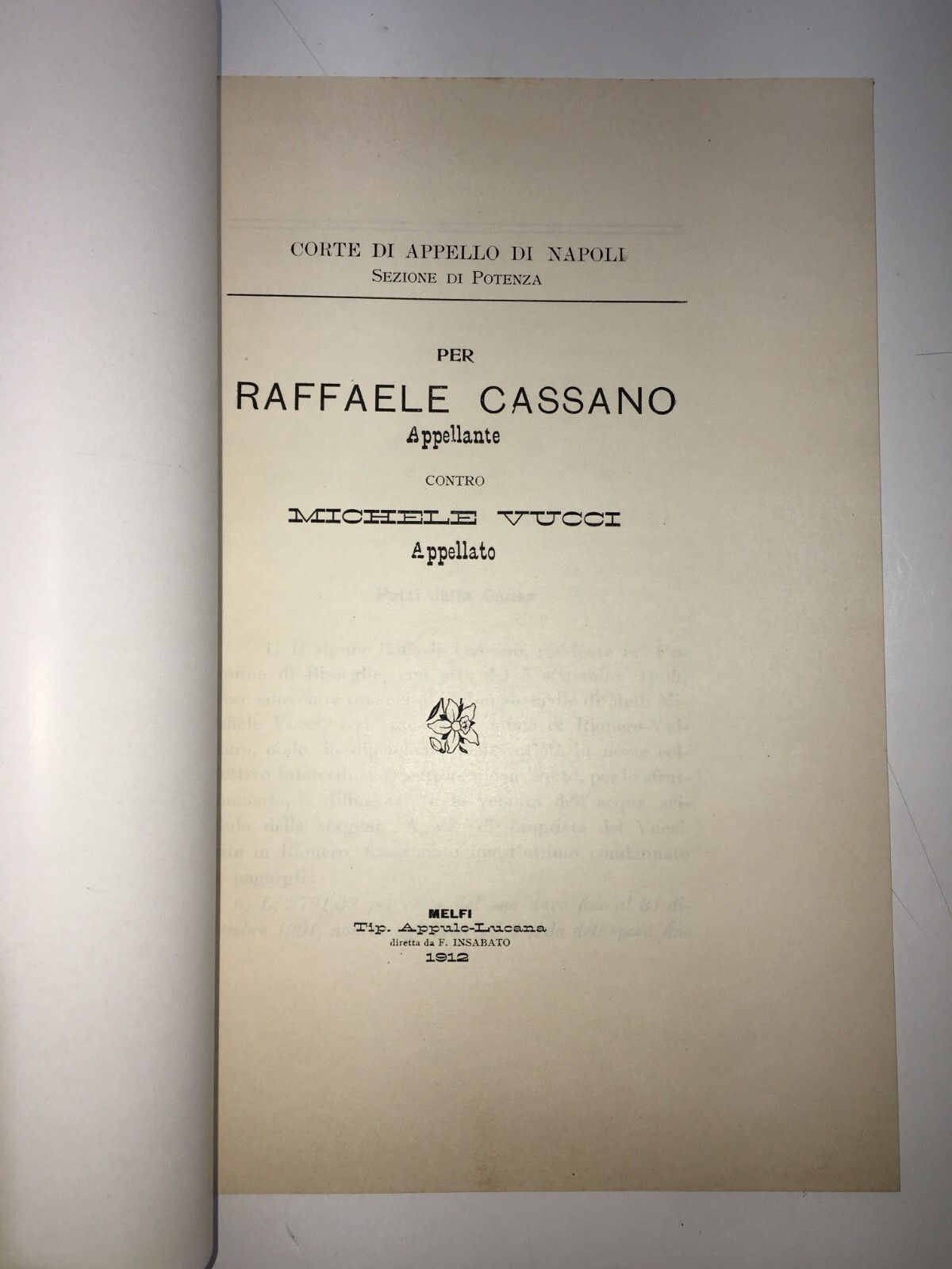 Basilicata, Rionero: Acque Minerali   Cassano Contro Vucci   Antica Allegazione Giuridica, 1912