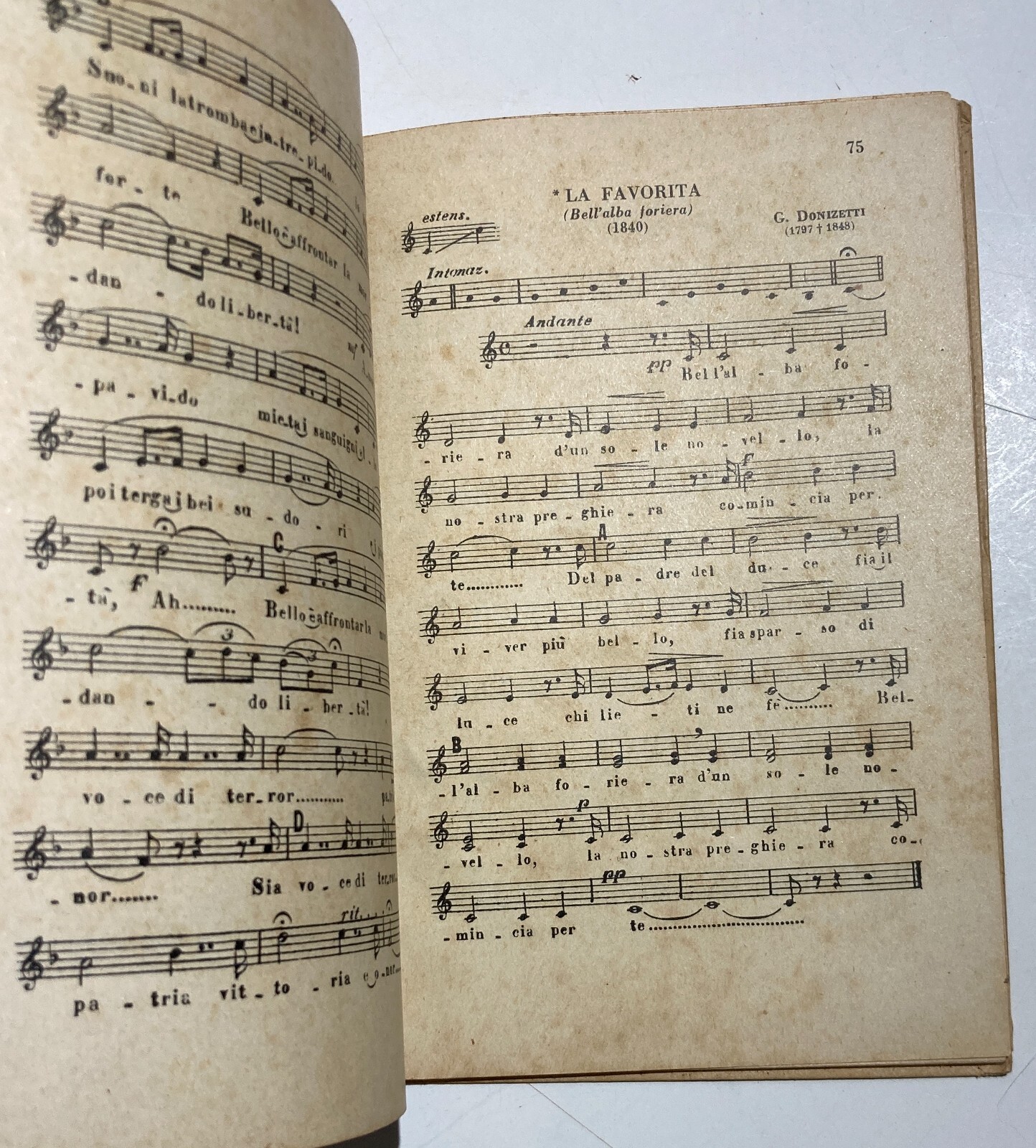 Musica, Canto, Militaria, Risorgimento, Grande Guerra, Patria: Canzoniere Patriottico