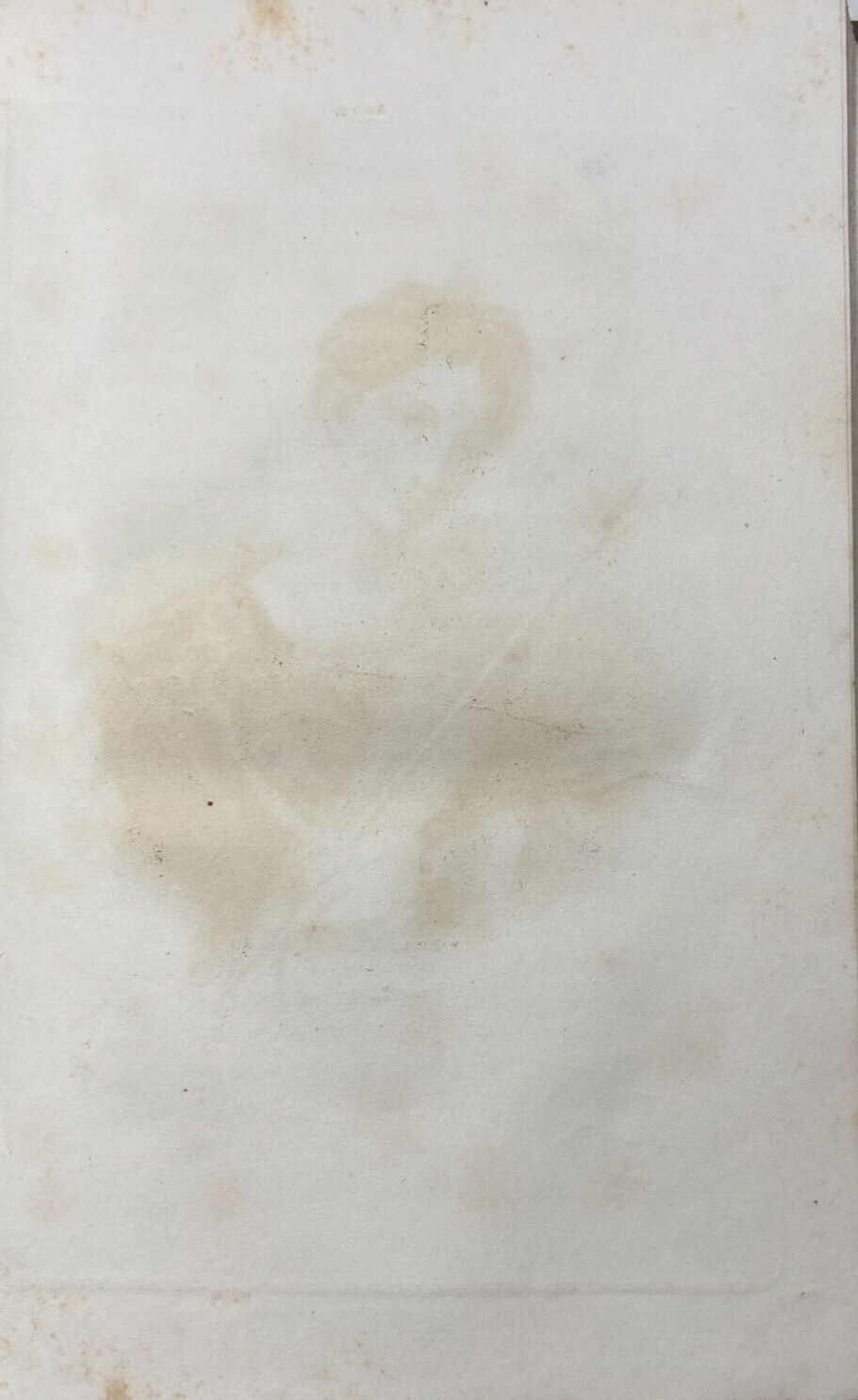 Arte Antica: Tullia d'Aragona, Ritratto Dell'800 Incisione Decorativa