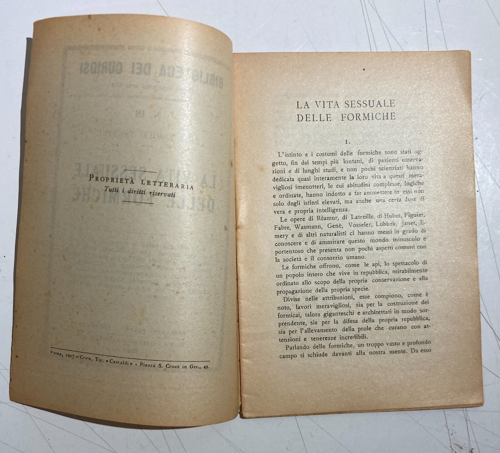 Zoologia: Sessualità Nelle Formiche   Trettel   Antica Edizione   1927