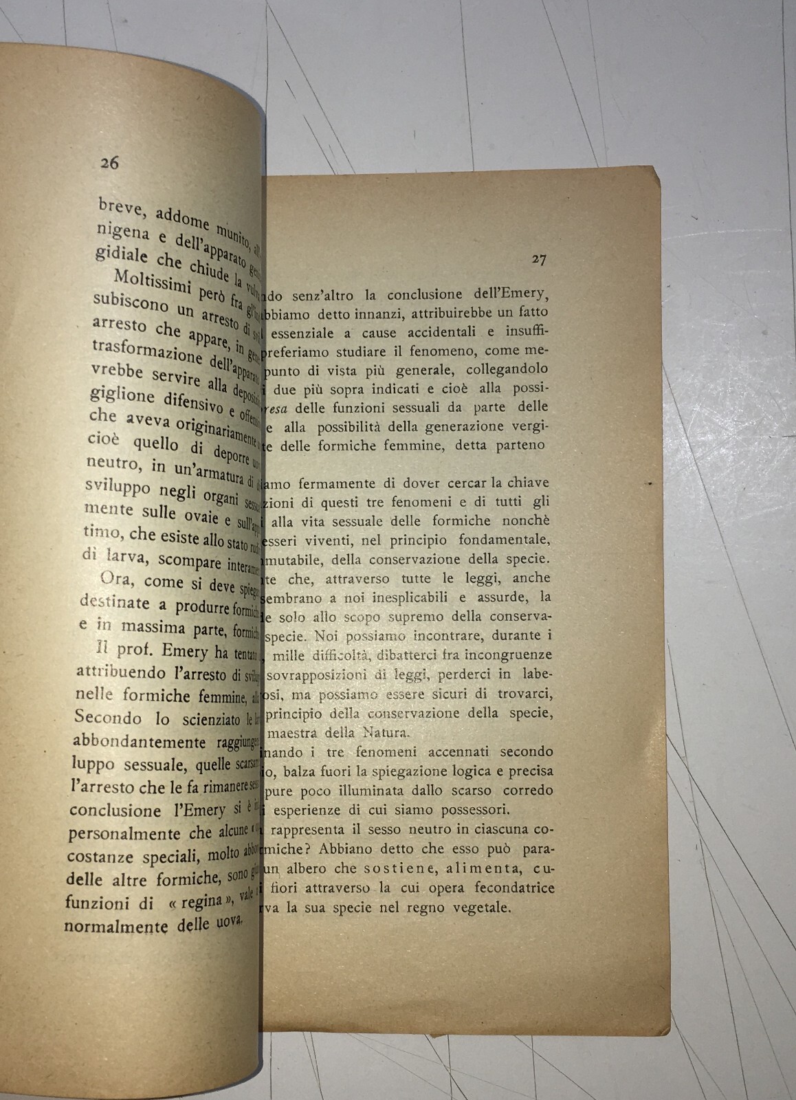 Zoologia: Sessualità Nelle Formiche   Trettel   Antica Edizione   1927
