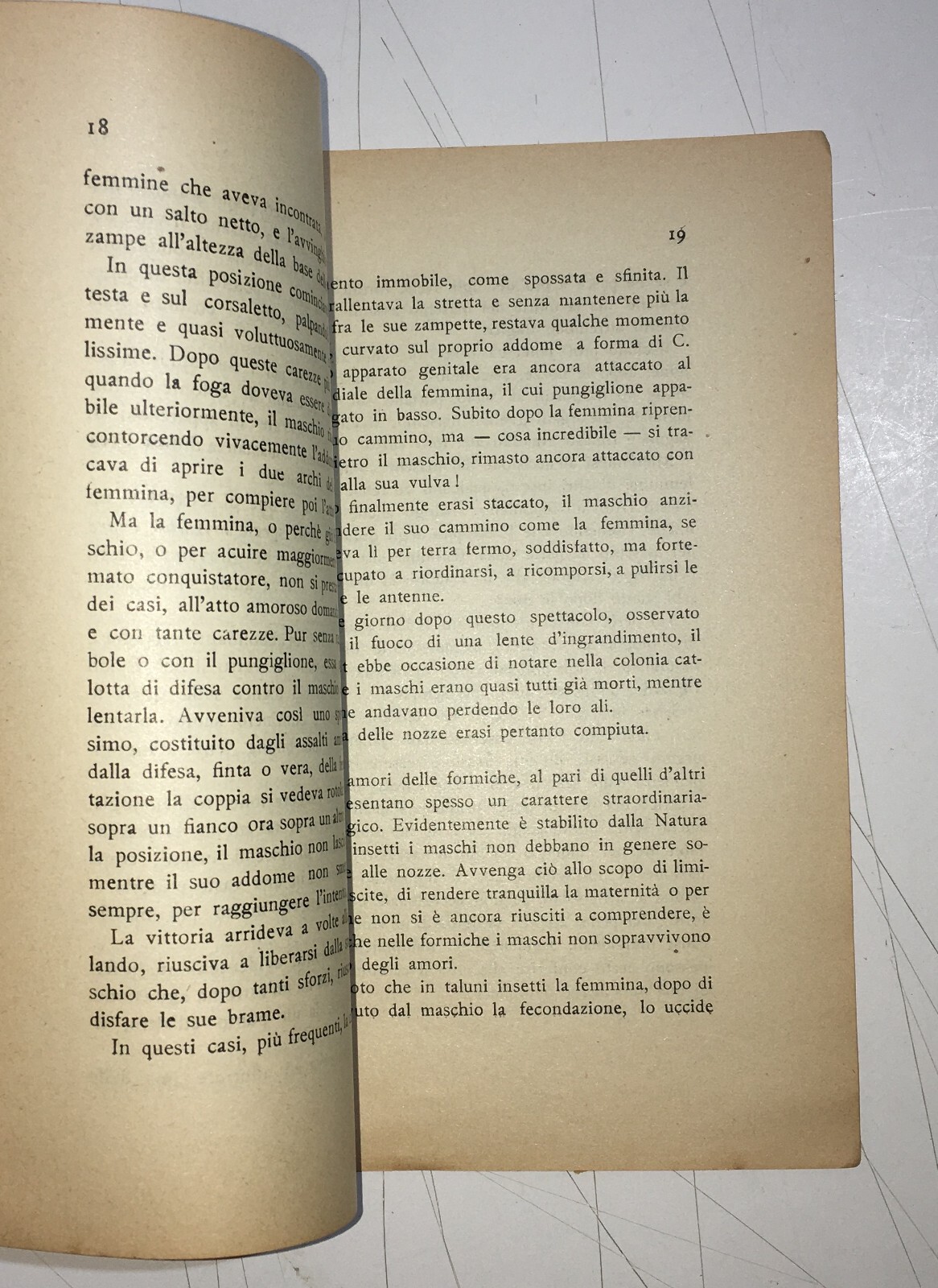 Zoologia: Sessualità Nelle Formiche   Trettel   Antica Edizione   1927