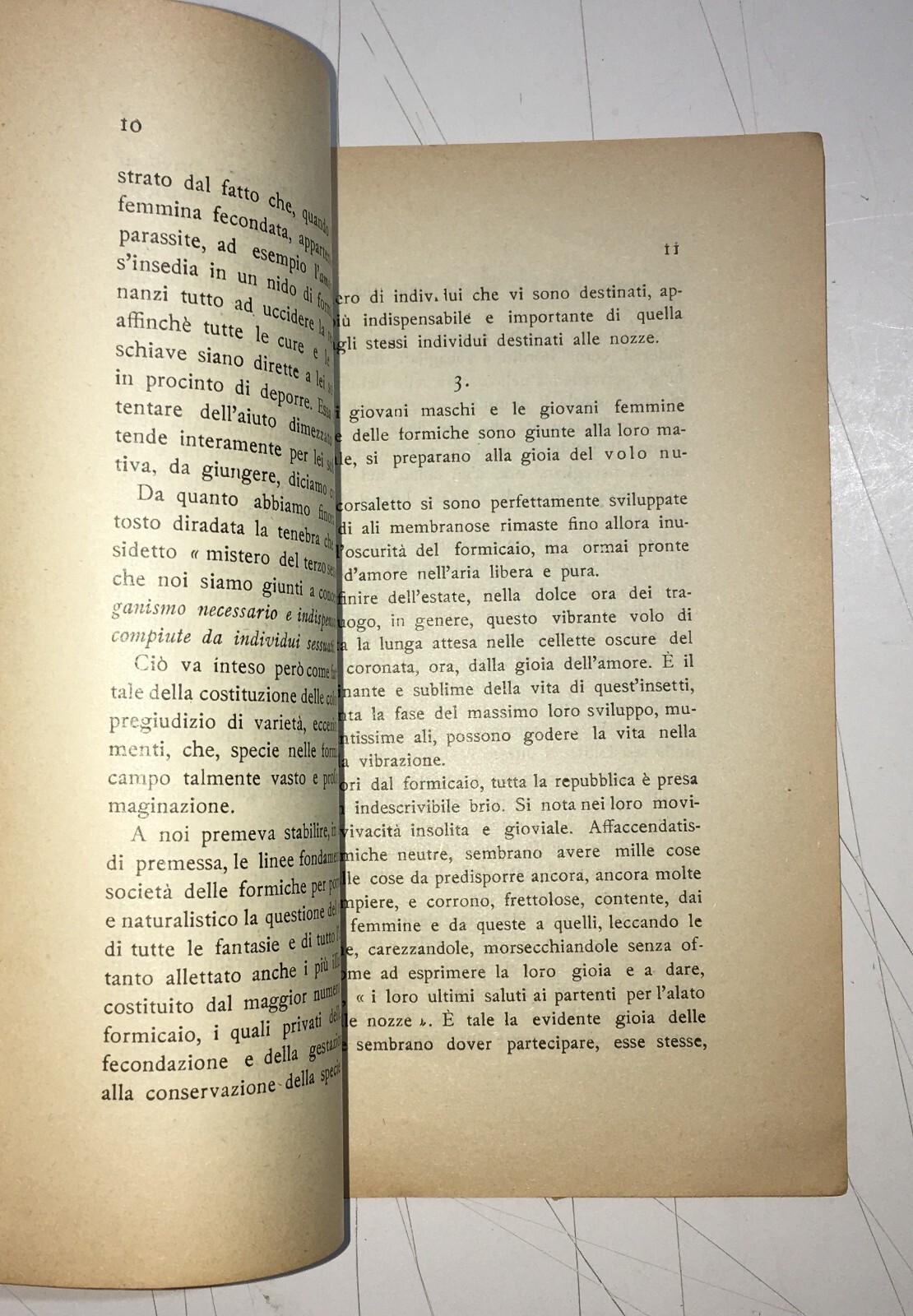 Zoologia: Sessualità Nelle Formiche   Trettel   Antica Edizione   1927