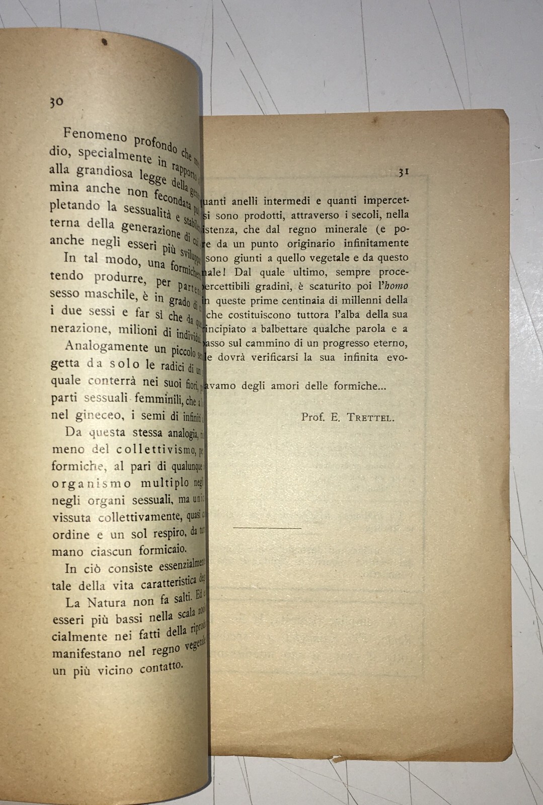 Zoologia: Sessualità Nelle Formiche   Trettel   Antica Edizione   1927
