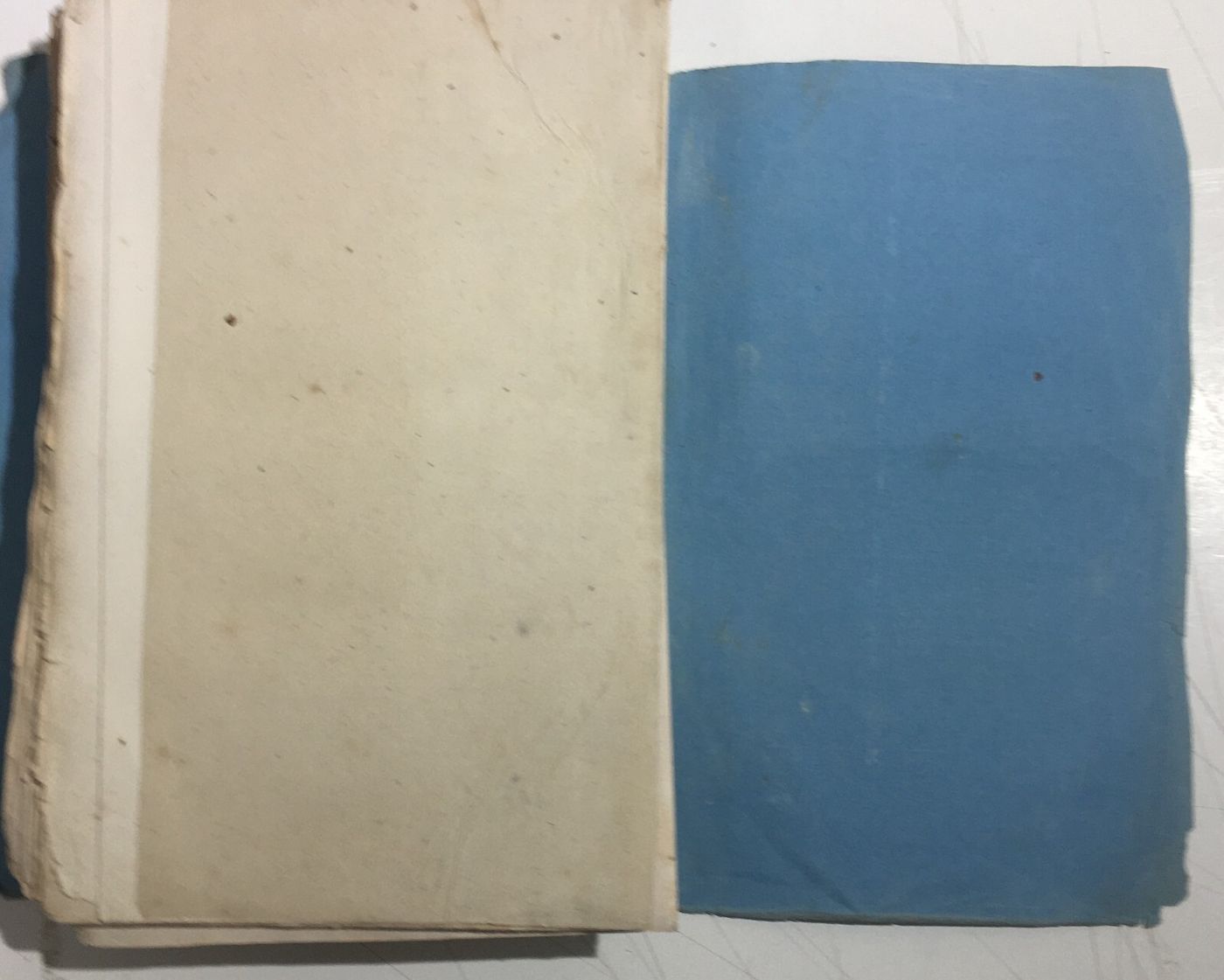 Chimica, Tossicologia, Medicina, Avvelenamenti, Stricnina   Flandin   1853