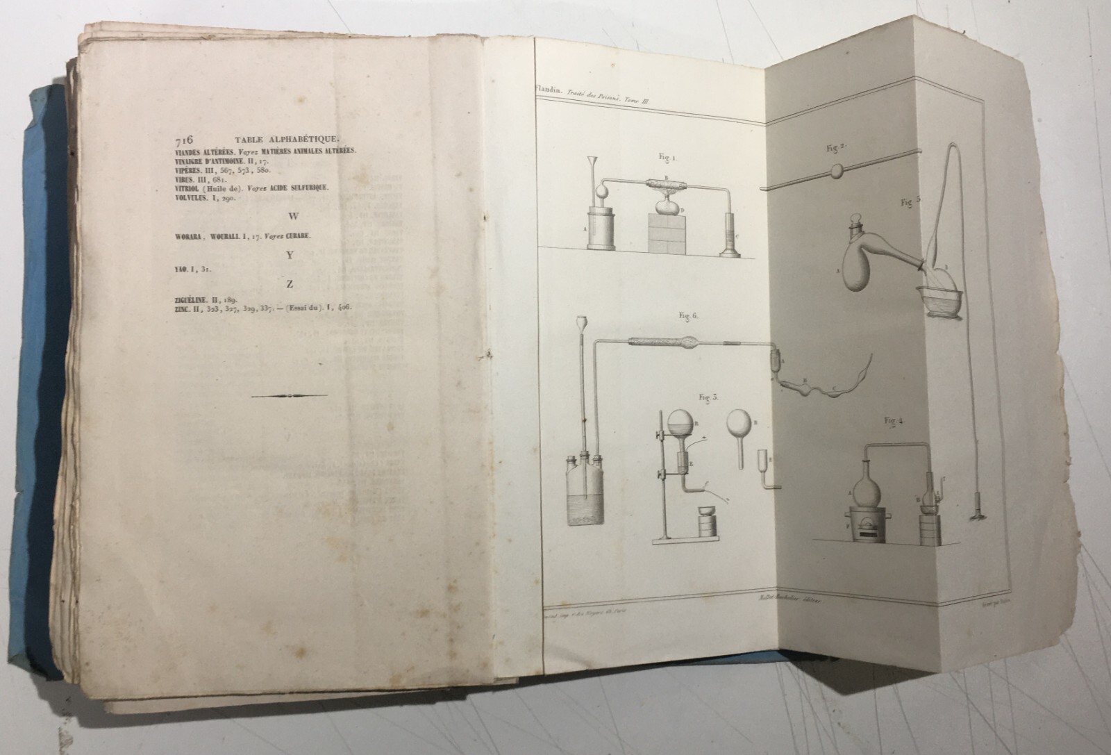 Chimica, Tossicologia, Medicina, Avvelenamenti, Stricnina   Flandin   1853