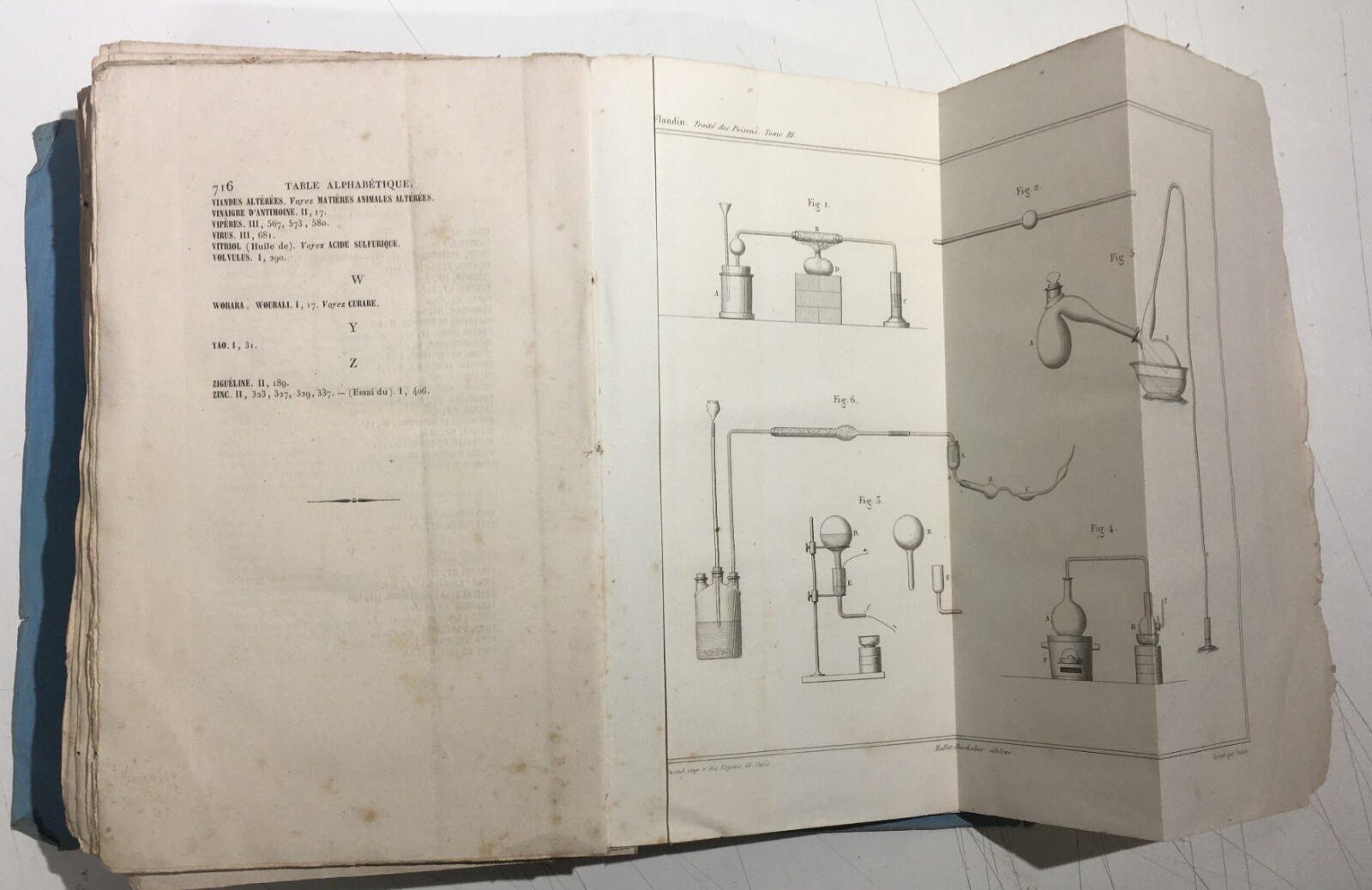 Chimica, Tossicologia, Medicina, Avvelenamenti, Stricnina   Flandin   1853