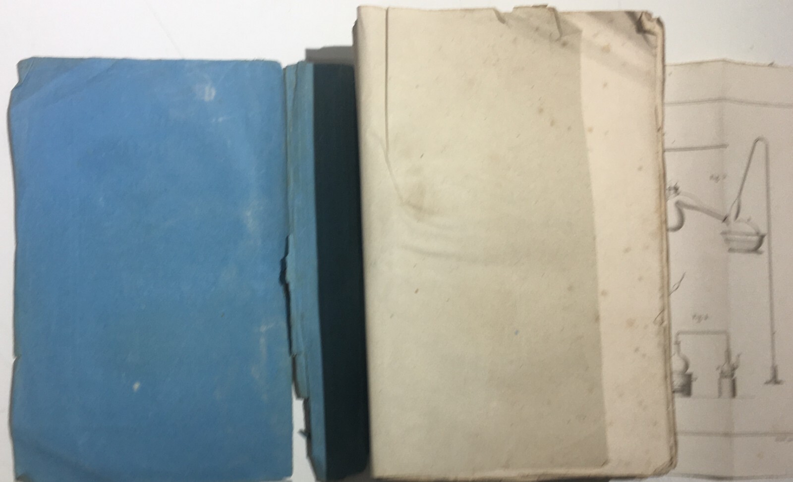 Chimica, Tossicologia, Medicina, Avvelenamenti, Stricnina   Flandin   1853