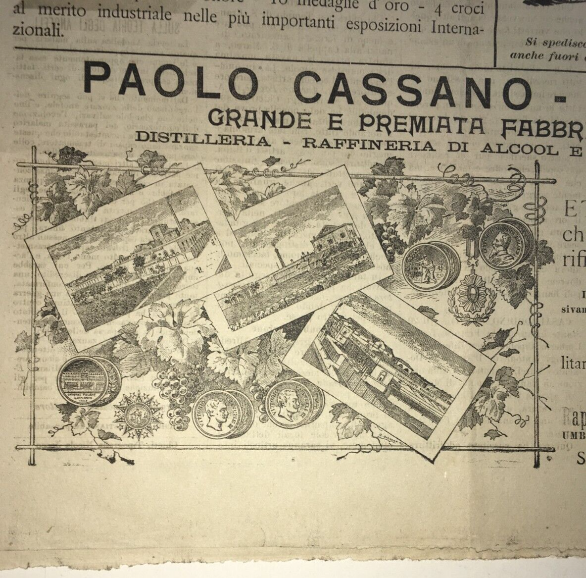 Liquori, Cognac, Distilleria E Stabilimento Vinicolo: Cassano, Puglia, Gioia Del Colle