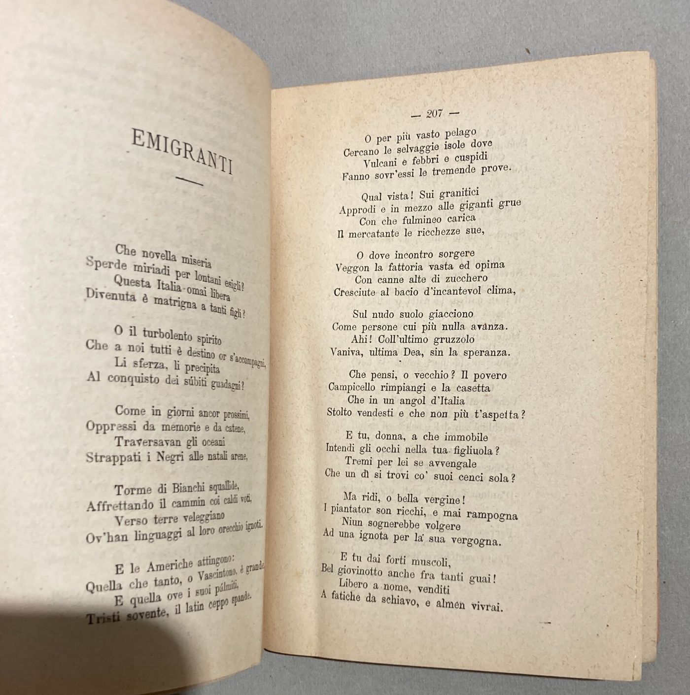 Antico Almanacco Strenna: Il Nipote Del Vesta Verde   Milano, 1884
