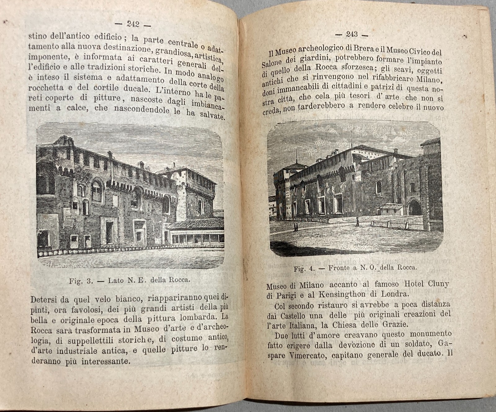 Antico Almanacco Strenna: Il Nipote Del Vesta Verde Milano, 1884
