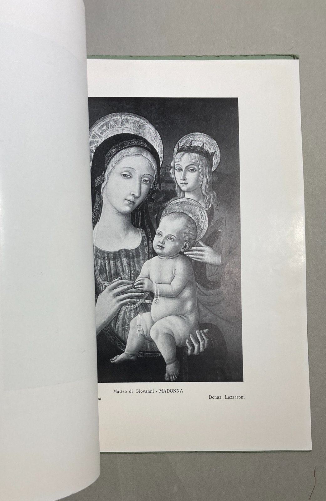 Arte Antica Rinascimentale   Accademia Di San Luca   Donazione Lazzaroni   Elena Berti Toesca