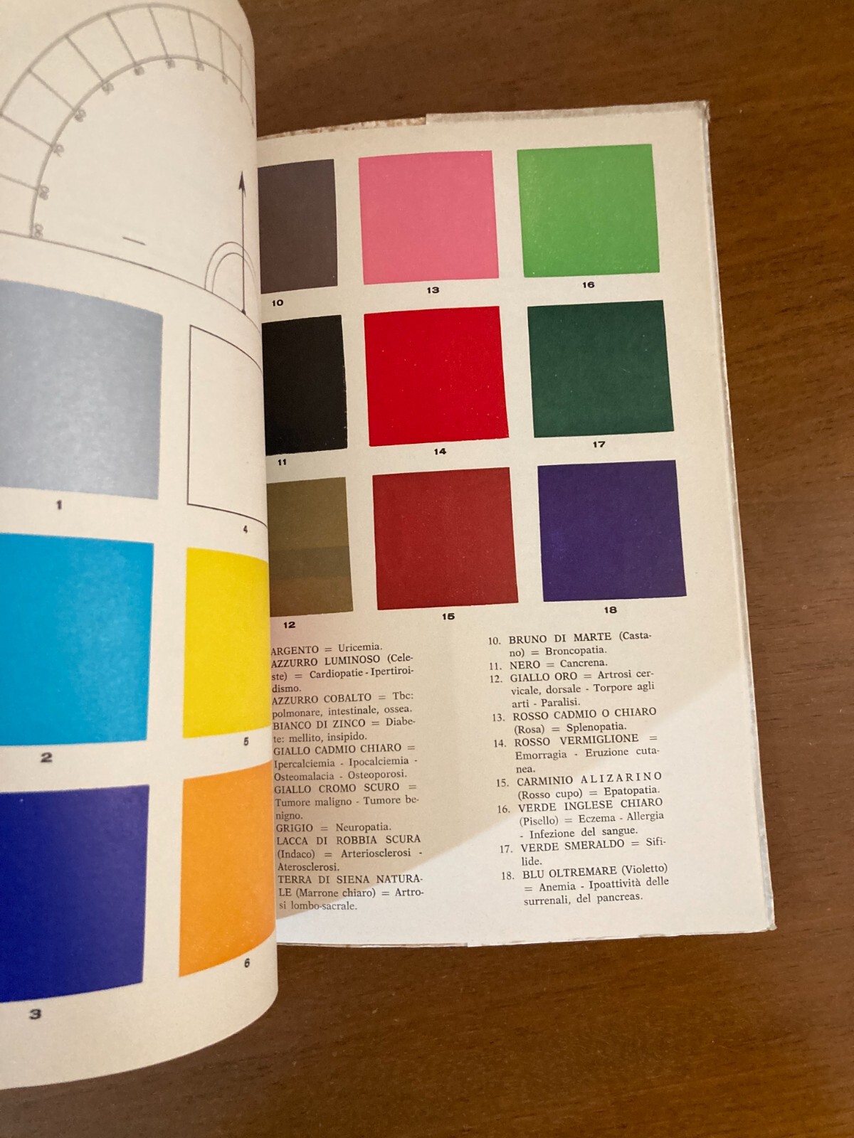 Radiestesia, Medicina E Diagnostica Medica Applicata: Manuale Illustrato Di Fernando Bortone (1978)