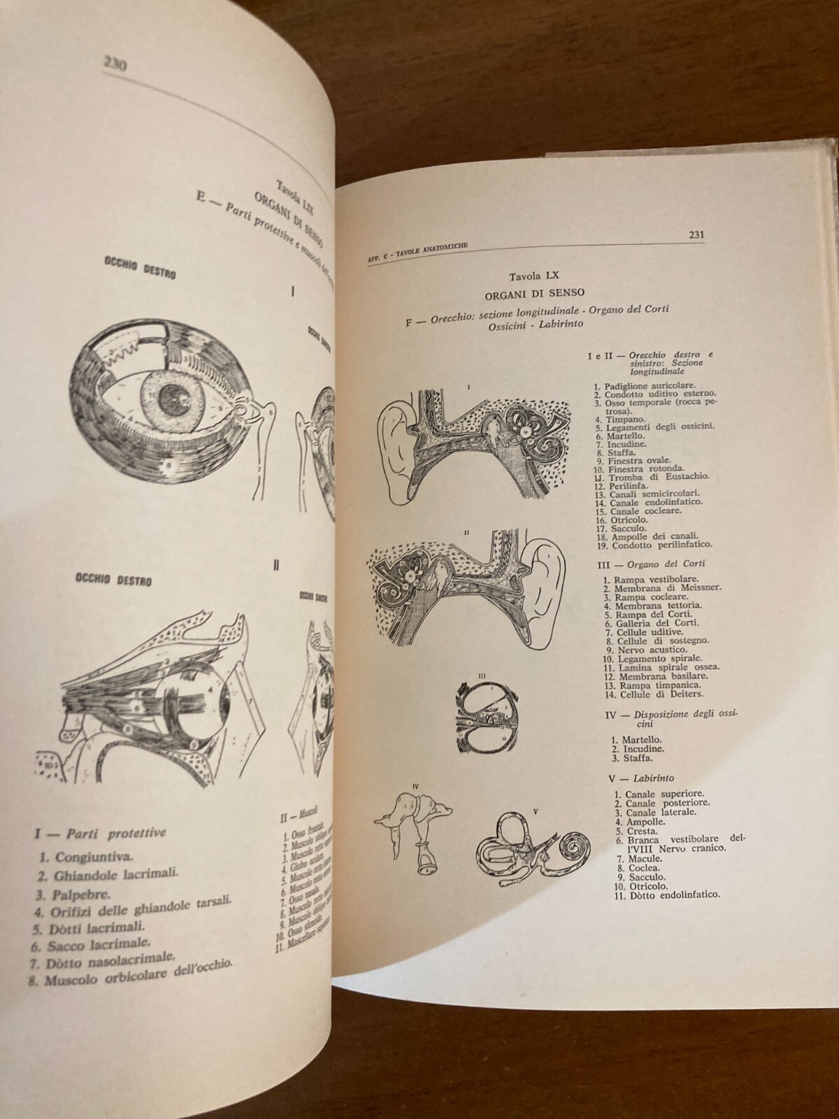 Radiestesia, Medicina E Diagnostica Medica Applicata: Manuale Illustrato Di Fernando Bortone (1978)