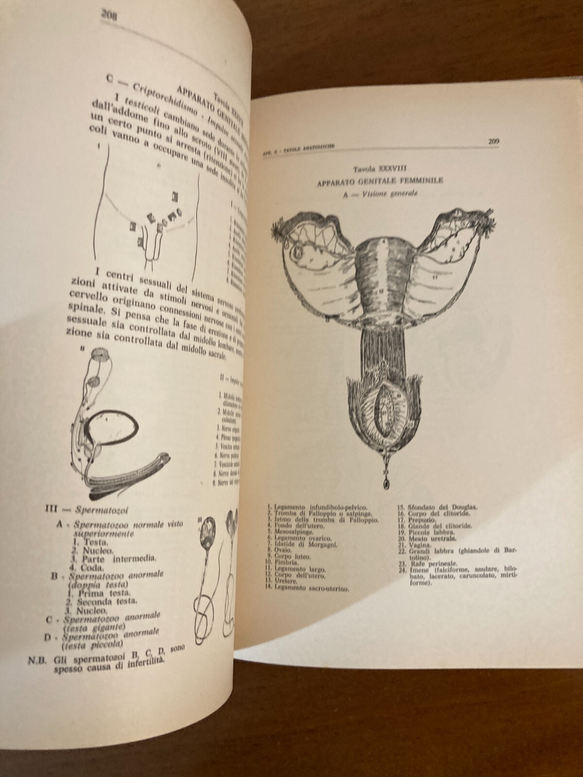 Radiestesia, Medicina E Diagnostica Medica Applicata: Manuale Illustrato Di Fernando Bortone (1978)