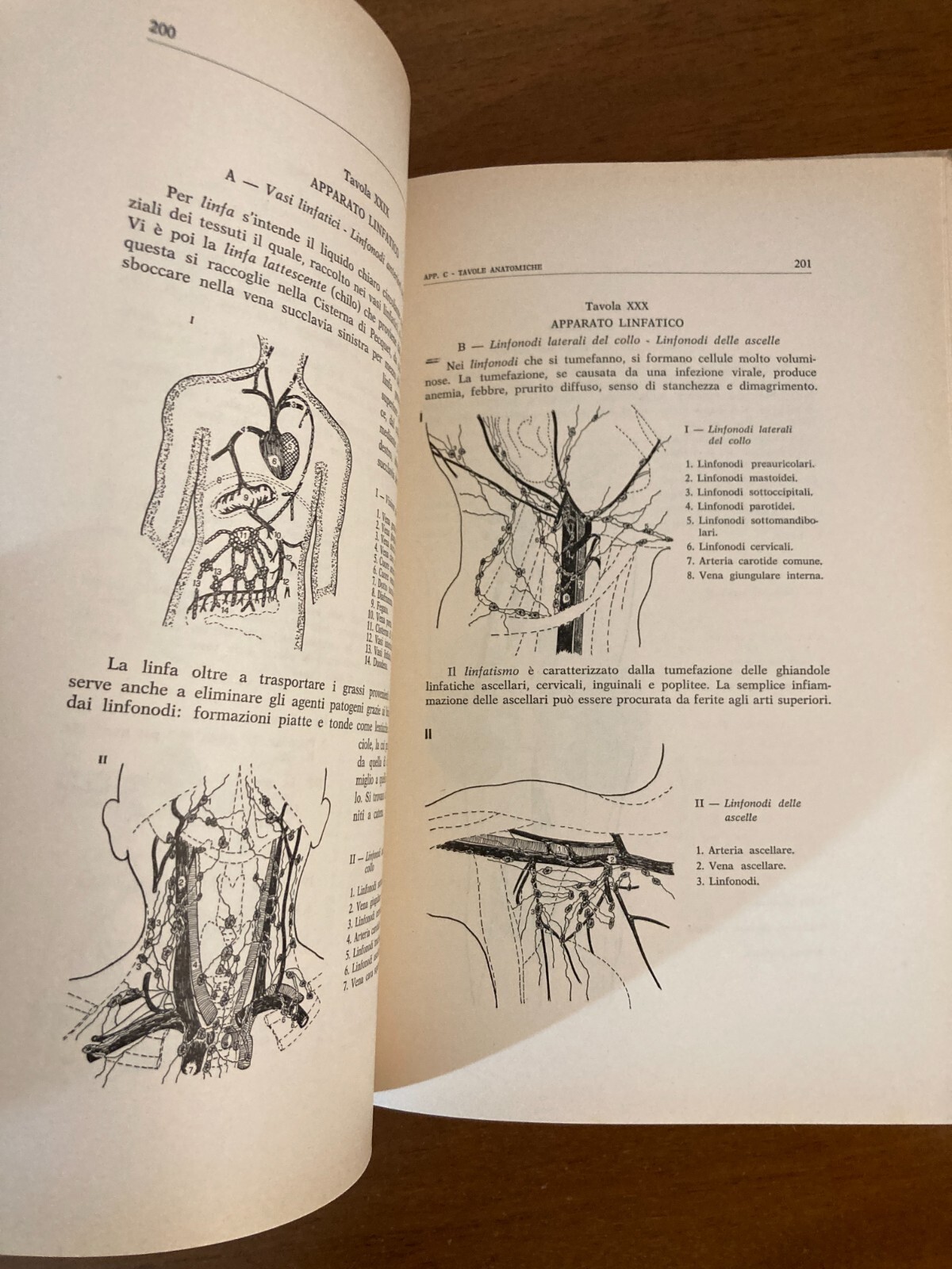 Radiestesia, Medicina E Diagnostica Medica Applicata: Manuale Illustrato Di Fernando Bortone (1978)