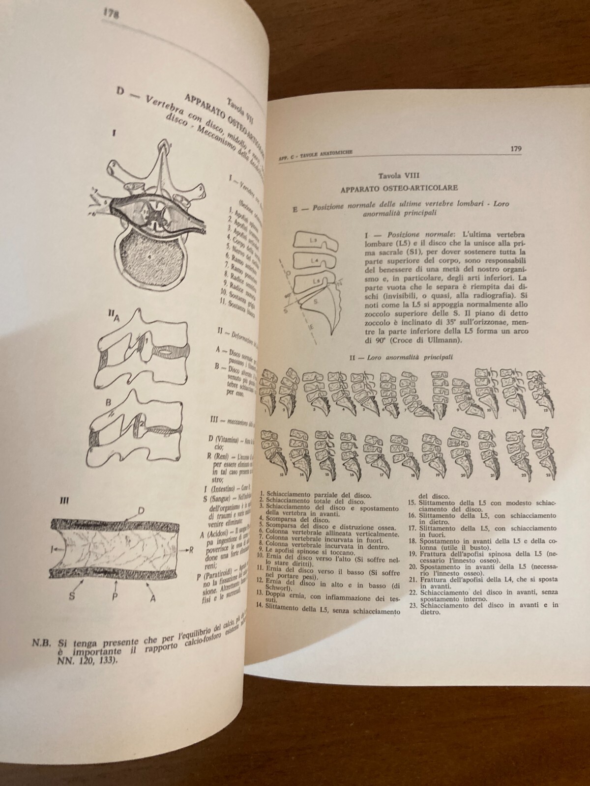 Radiestesia, Medicina E Diagnostica Medica Applicata: Manuale Illustrato Di Fernando Bortone (1978)