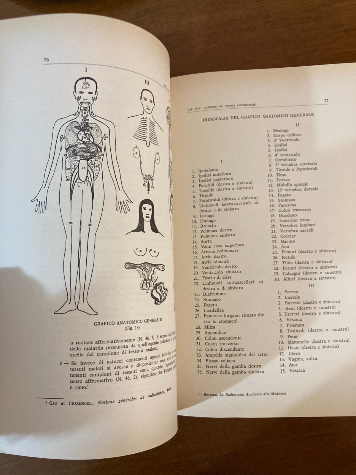 Radiestesia, Medicina E Diagnostica Medica Applicata: Manuale Illustrato Di Fernando Bortone (1978)