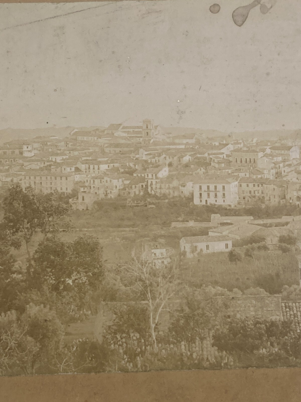 Calabria Catanzaro: Antica Veduta Panoramica. Rara Fotografia Originale, Fine '800