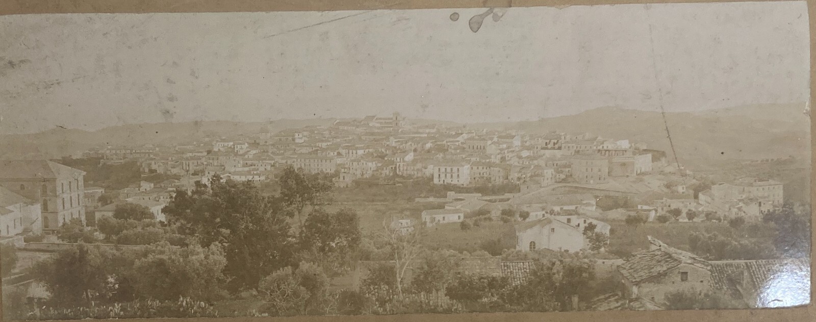 Calabria Catanzaro: Antica Veduta Panoramica. Rara Fotografia Originale, Fine '800